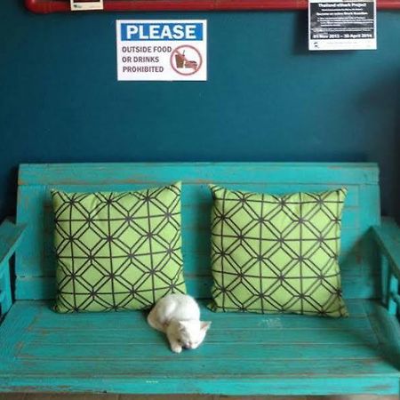 Monkey Dive Hostel Khaolak Khao Lak Bagian luar foto